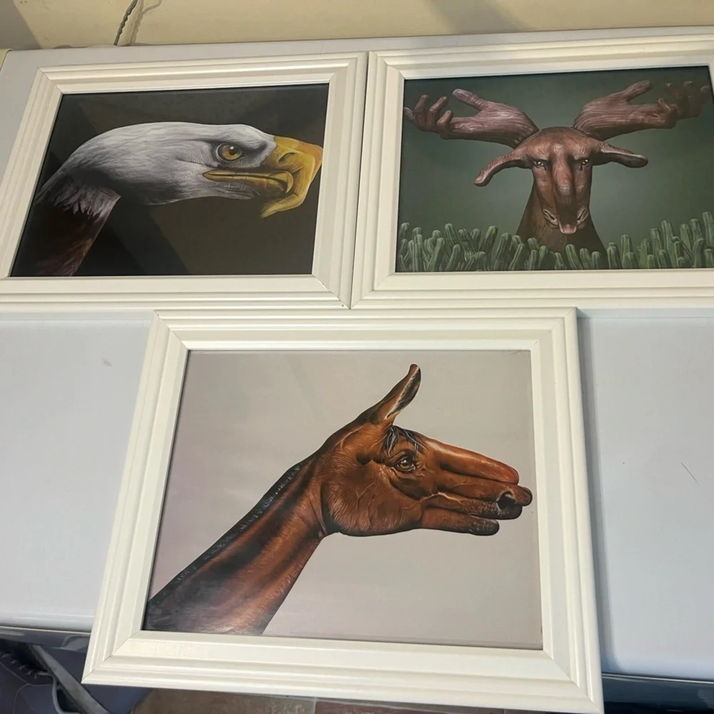 White Framed Animal Hand Art Set - Picture 1 of 4
